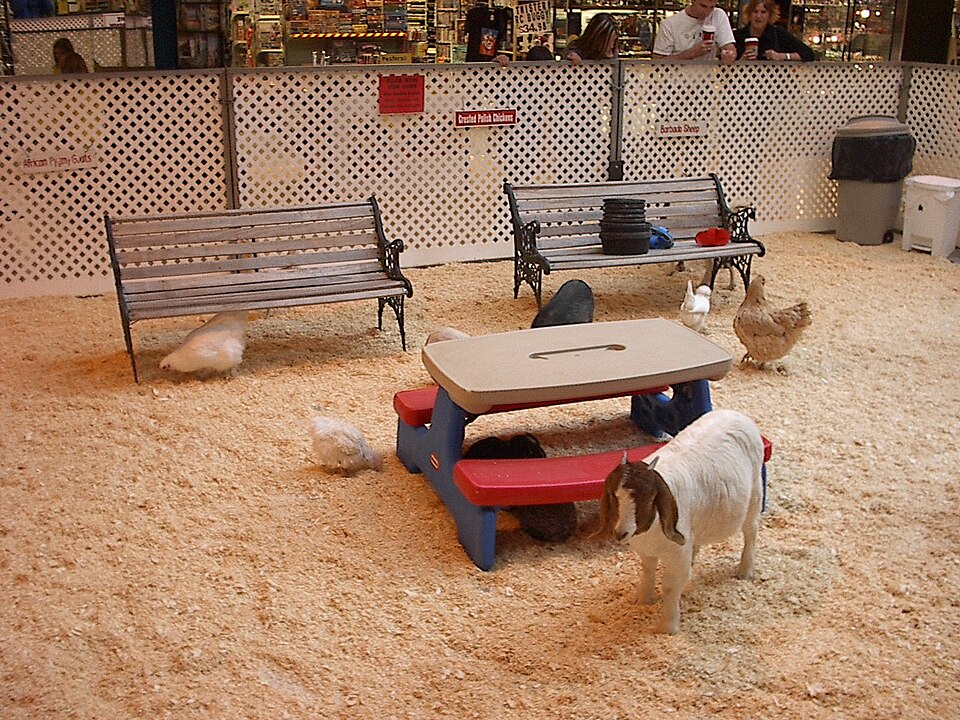 Speelboerderij Het Buitenbeest