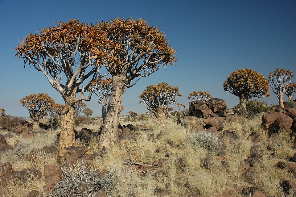 Natuurspeeltuin De Vrijbuiter