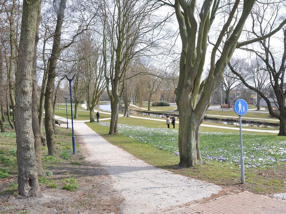 Een pad door het Wilhelminapark in Zoetermeer met bomen en voorjaarsbloemen