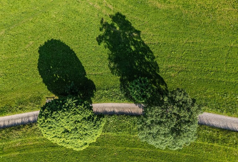 Geuzenloop — Natuur in Zoetermeer